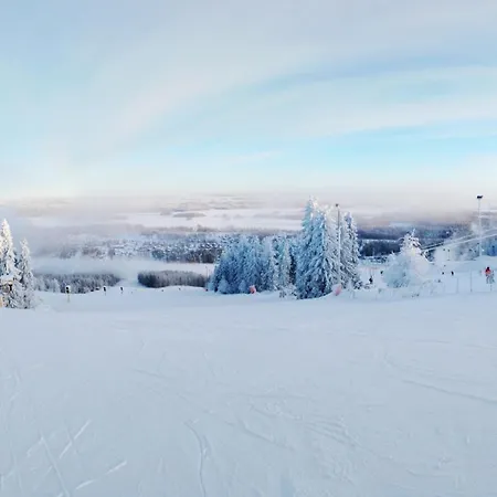 Talvitahko 4 *
