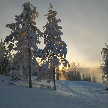 Σπίτι διακοπών Talvitahko 4 Tahkovuori